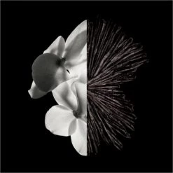 Givenchy Gentleman Eau De Parfum 7 Givenchy Gentleman Eau De Parfum -Vendite Givenchy || Mulac Cosmetics || Gyada Cosmetics Givenchy Gentleman Givenchy Gentleman 3