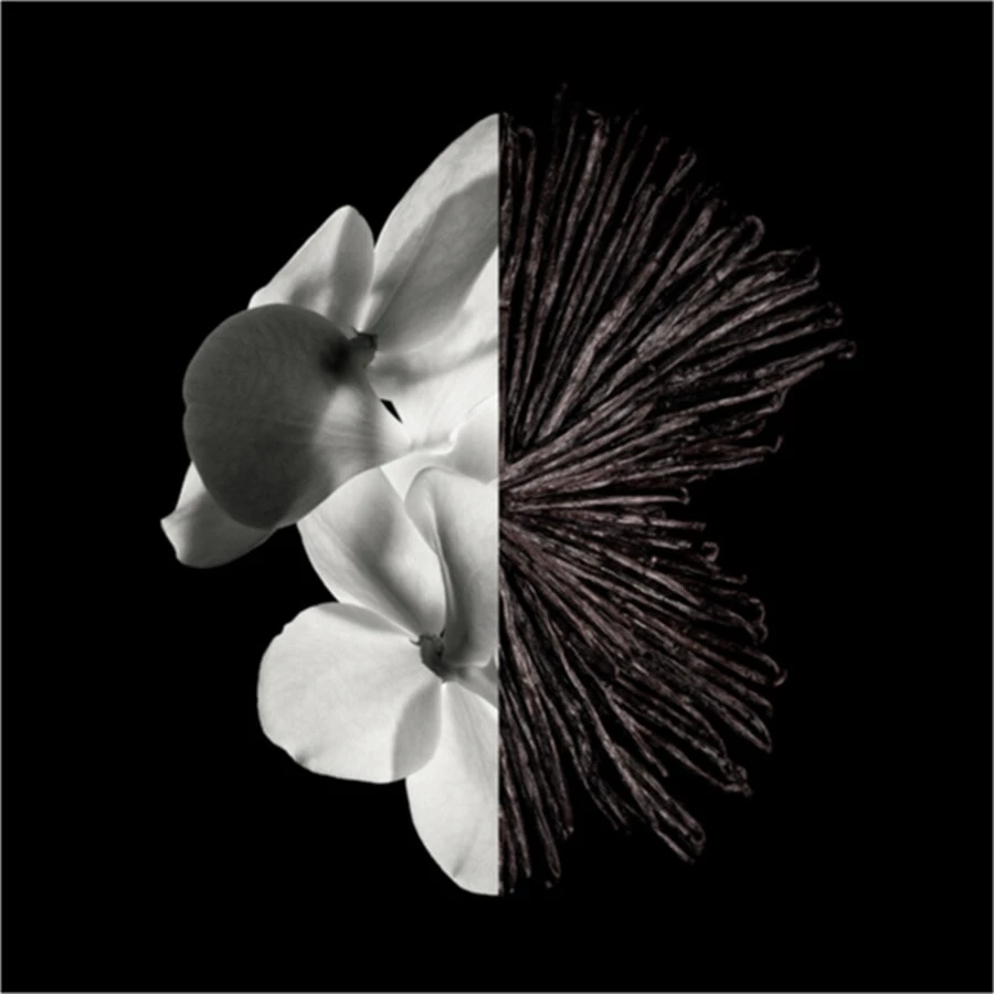 Givenchy Gentleman Eau De Parfum 3 Givenchy Gentleman Eau De Parfum - immagine 3