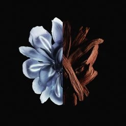 Givenchy Gentleman Reserve Privée Eau De Parfum -Vendite Givenchy || Mulac Cosmetics || Gyada Cosmetics Givenchy Gentleman Givenchy Givenchy Gentleman Reserve Privee 2