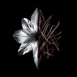 Givenchy L'Interdit Intense Eau De Parfum -Vendite Givenchy || Mulac Cosmetics || Gyada Cosmetics Givenchy L interdit L Interdit Intense 6