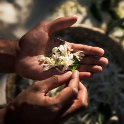 Givenchy L'Interdit Millésime EDP Eau De Parfum -Vendite Givenchy || Mulac Cosmetics || Gyada Cosmetics Givenchy L interdit L Interdit Millesime EDP 4